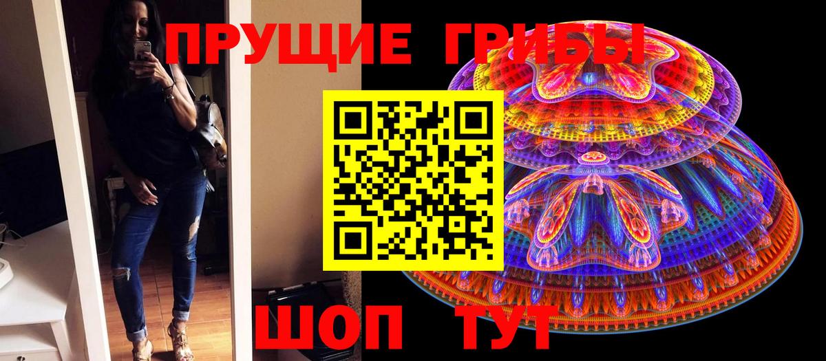 Псилоцибиновые грибы Psilocybe  Вход с VPN  Серов  Псилоцибиновые грибы MAGIC MUSHROOMS 